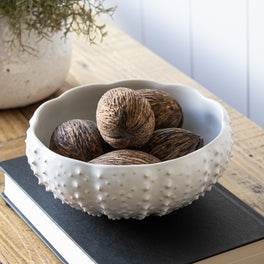 Round Urchin Decorative Bowl