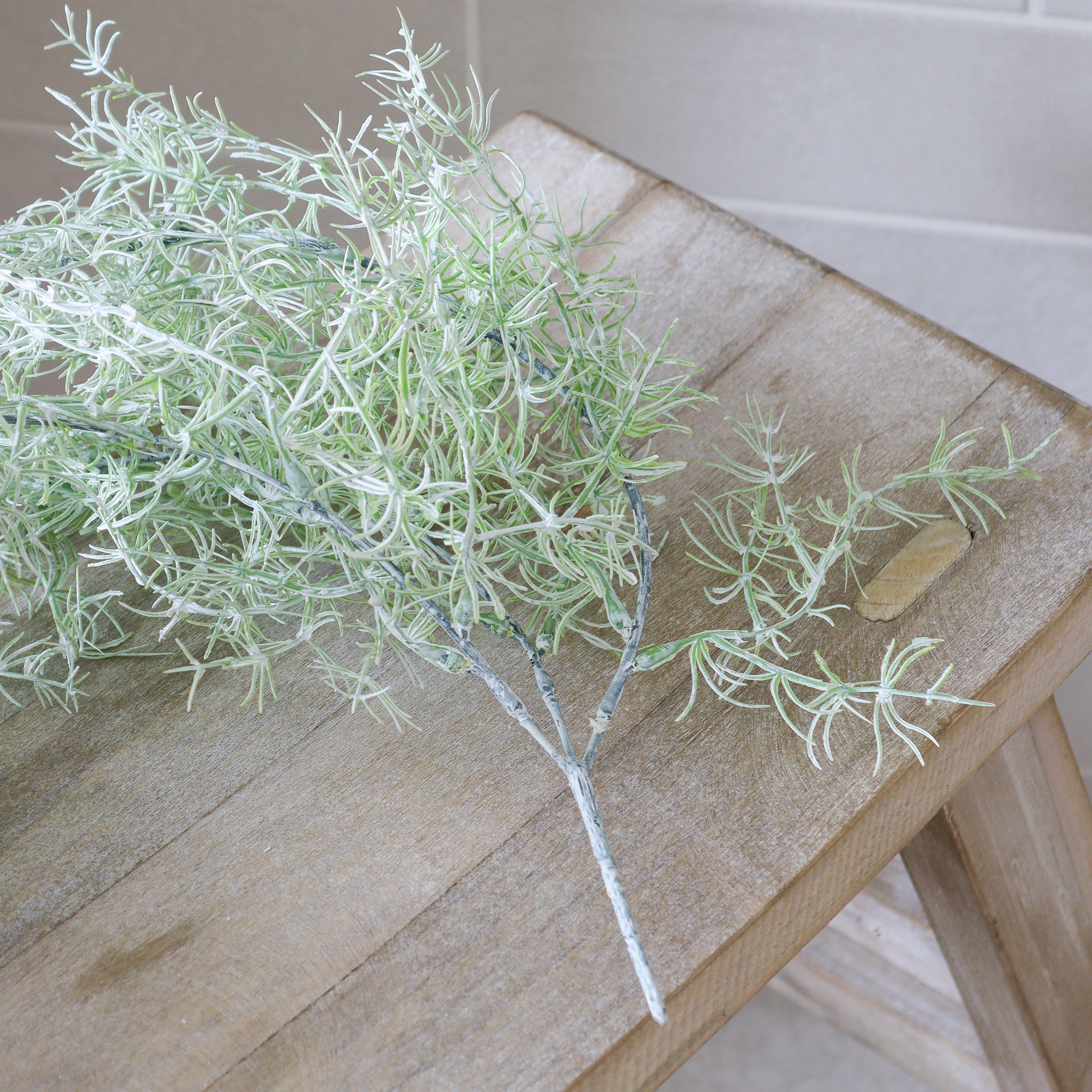 Spanish Moss For Fake Plants at Kate Wardill blog
