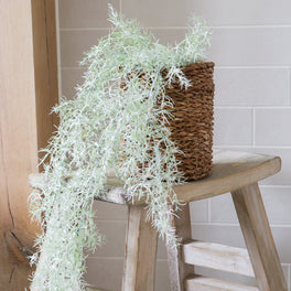 White Wash Faux Trailing Spanish Moss