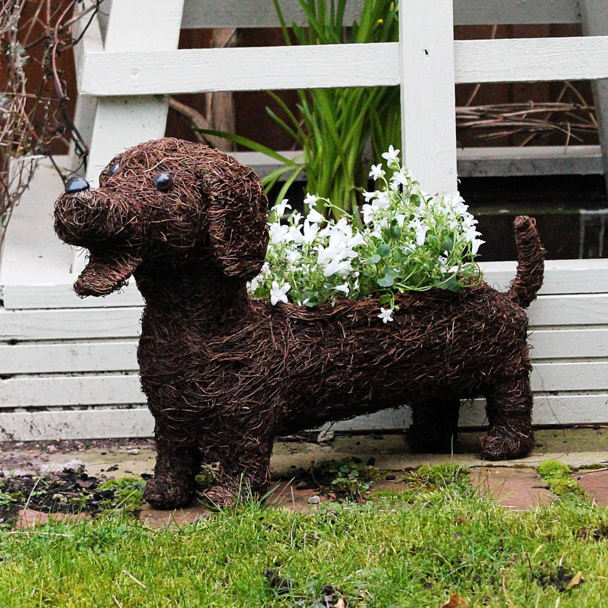 dog planters outdoor