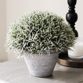 Faux Grey Wash Potted Plant