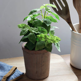 Faux Potted Basil Herb Plant