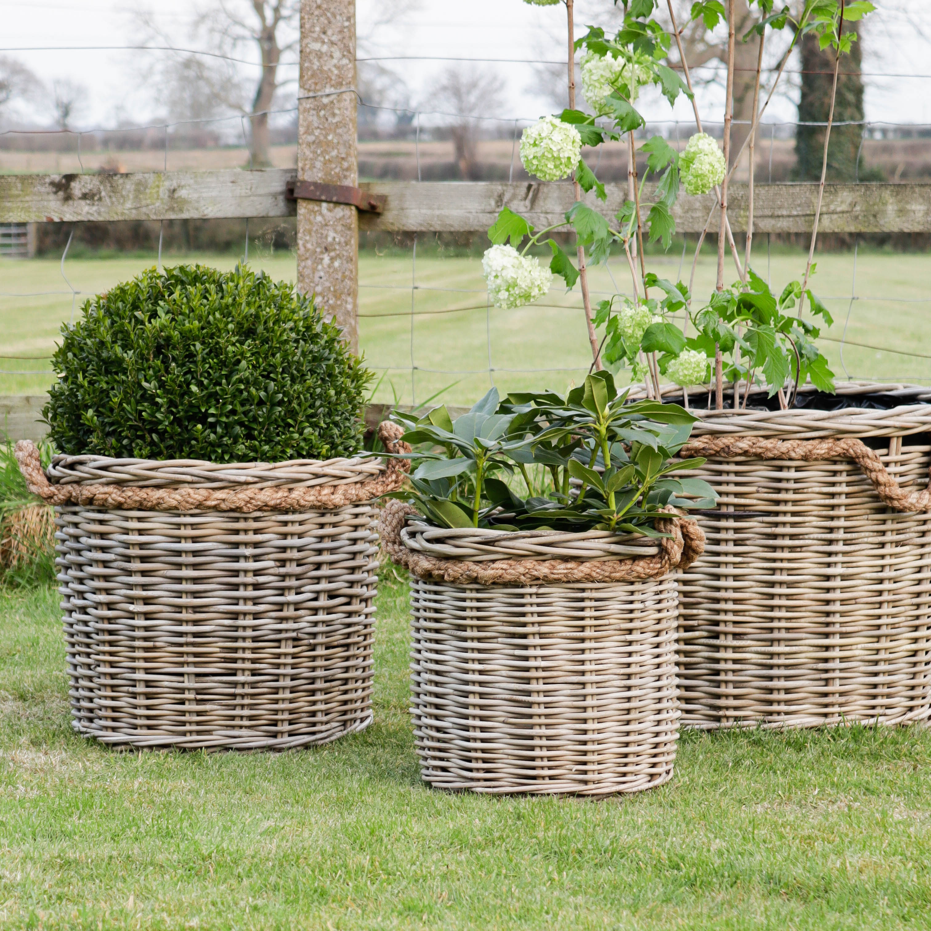 large wicker plant pot Round Rattan Planter with Rope Handle