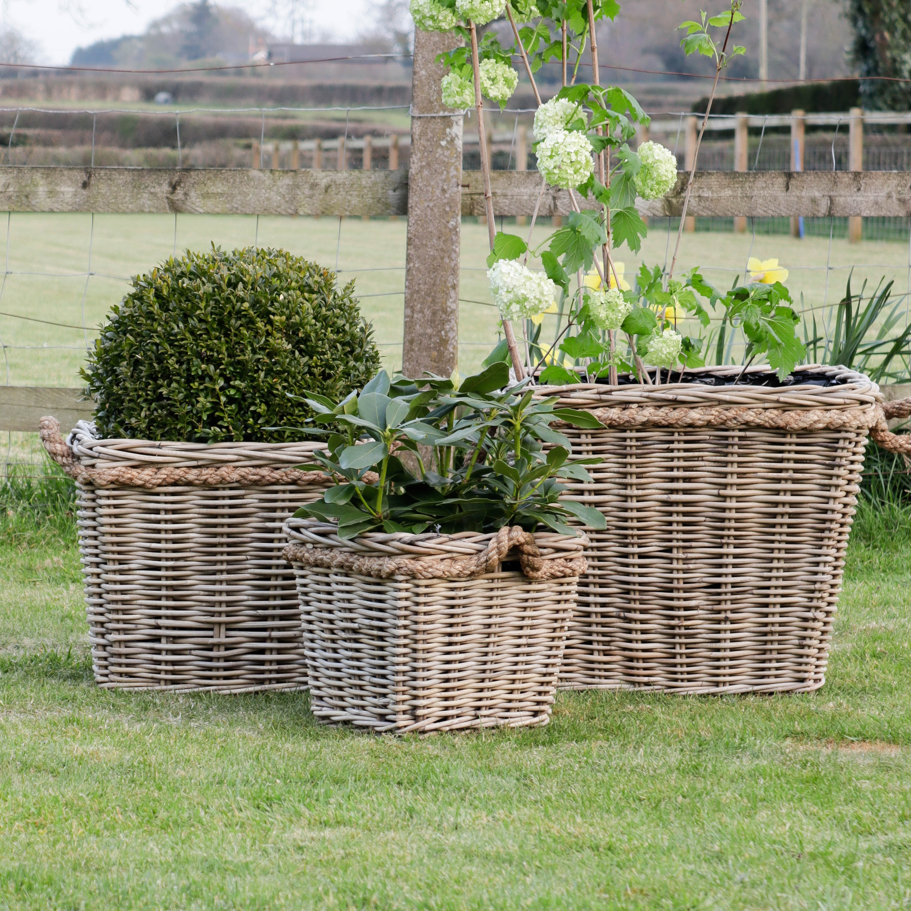 wicker plant stands indoor uk Square Rattan Planter with Rope Handle