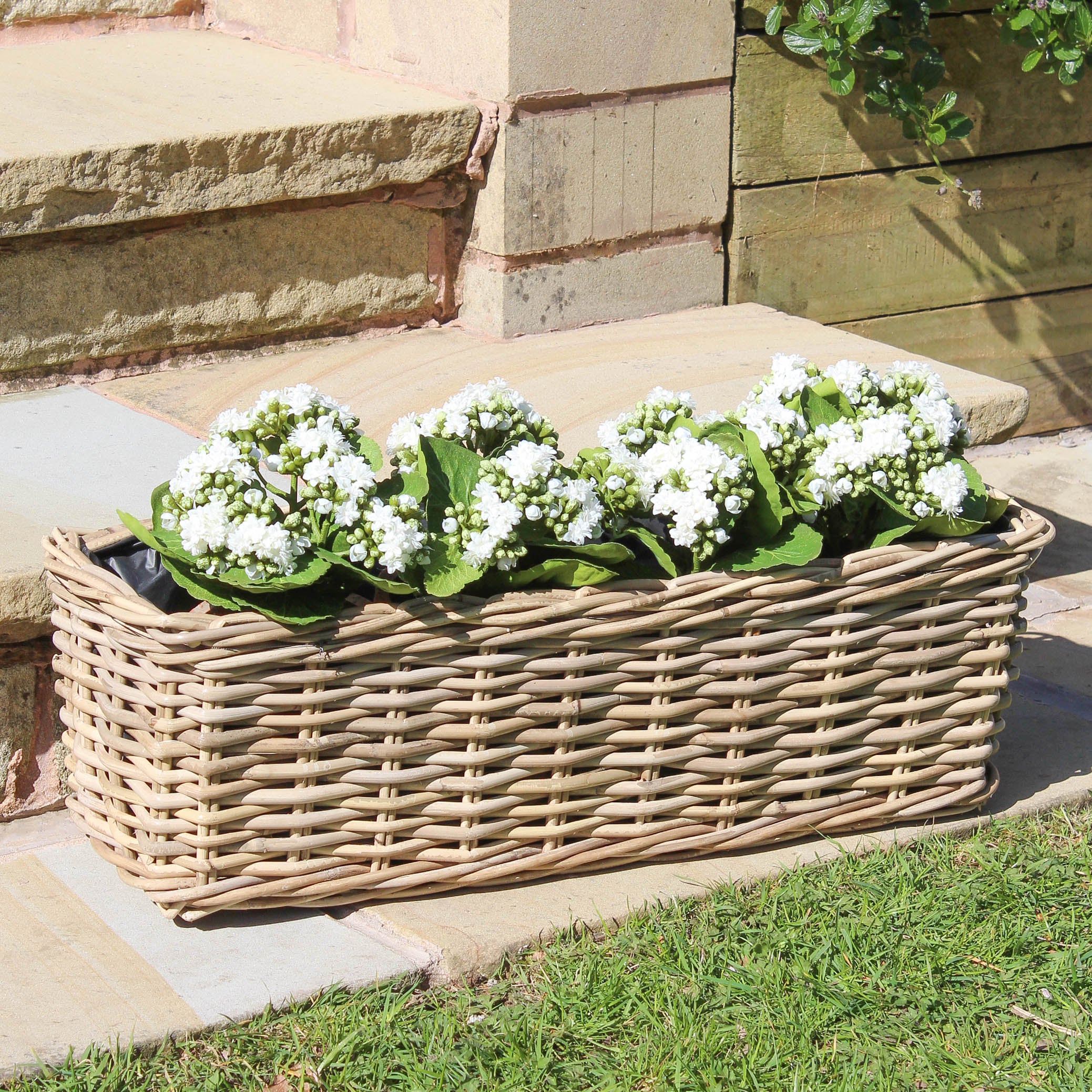 Large Rattan Rectangular Planter - Marquis & Dawe