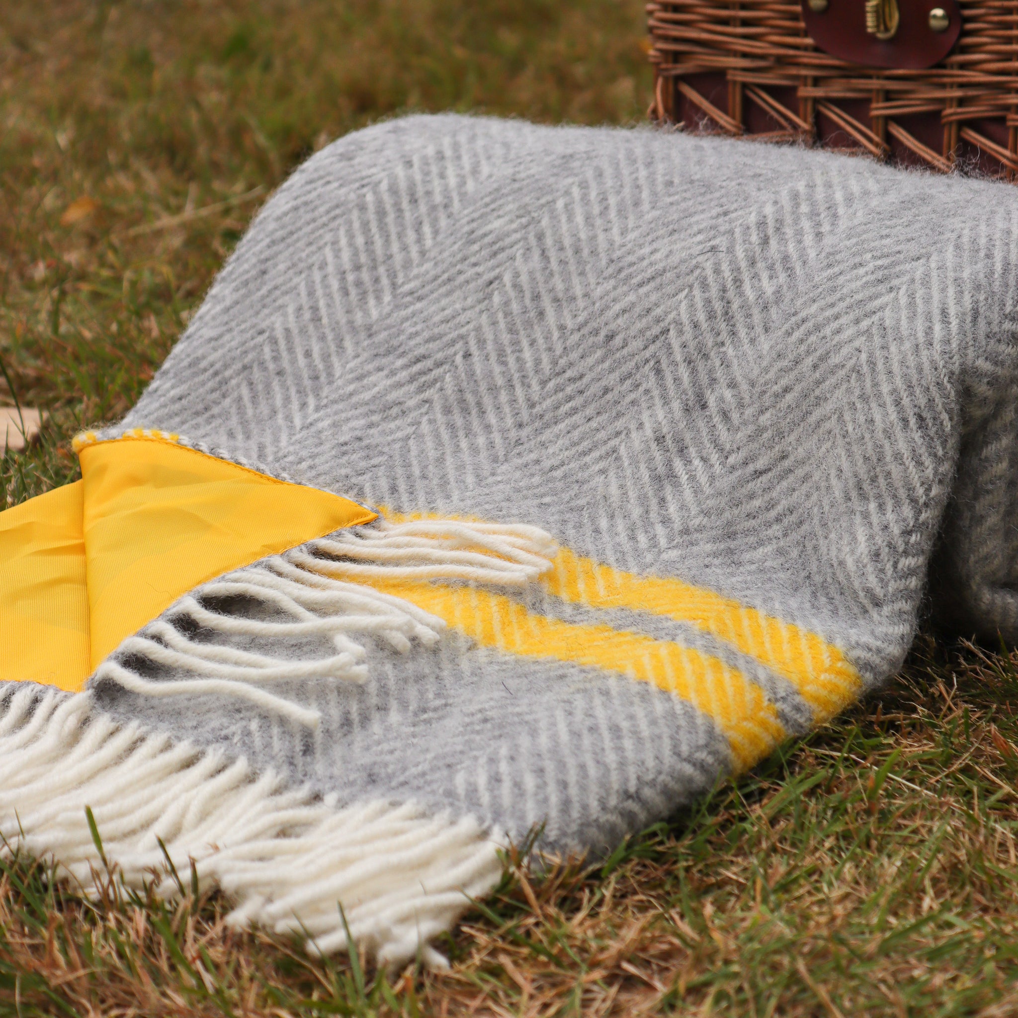 Picnic 2024 blanket grey